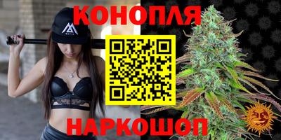 бошки Гатчина