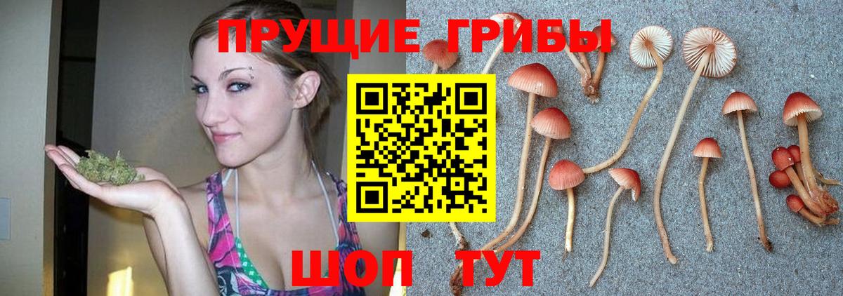 Галлюциногенные грибы Magic Shrooms  Галлюциногенные грибы ЛСД  Вход с VPN  Муравленко 